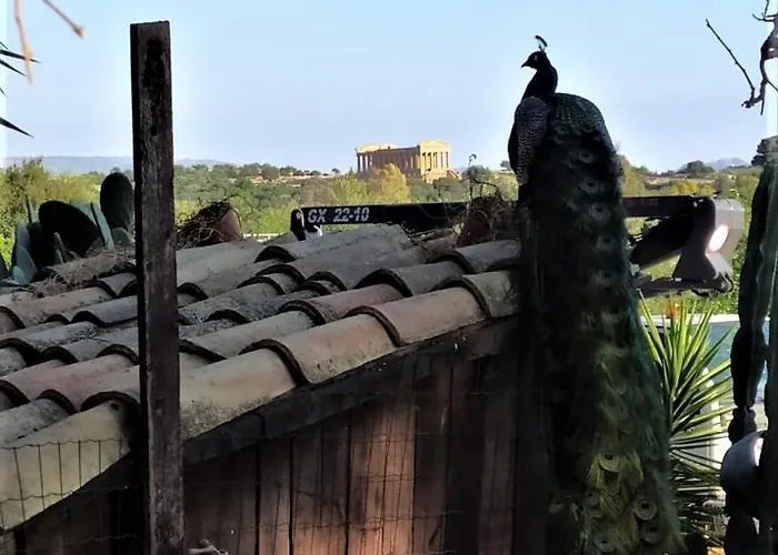 San Marco Gospodarstwo wiejskie Agrigento